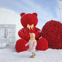 春节 滑雪 流感 娃娃+ Me